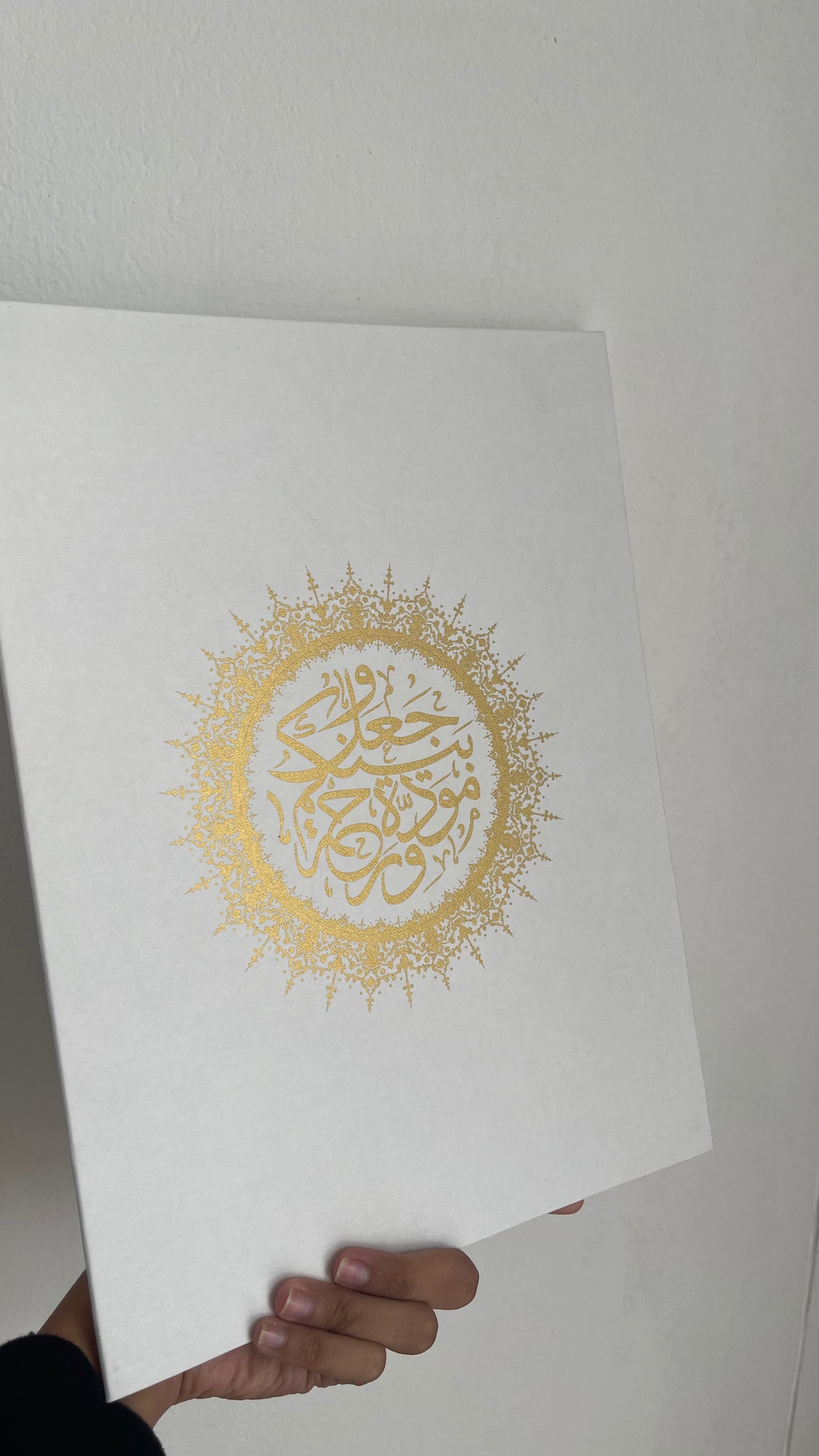 A4 Folders
